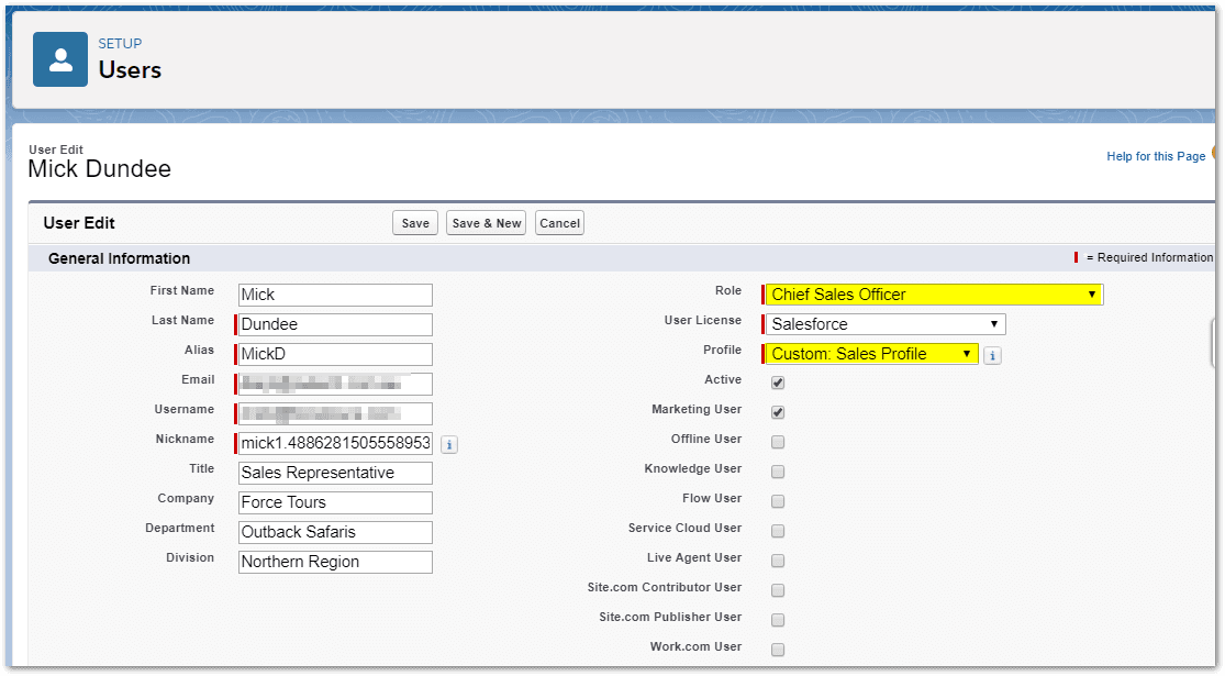 New User Setup in Salesforce