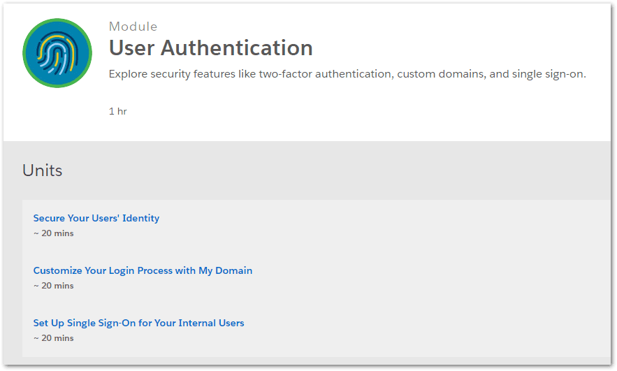 Salesforce User Authentication
