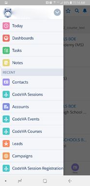 Salesforce Mobile Lightning