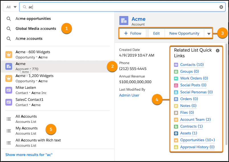 Einstein Search Example